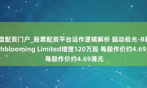 实盘配资门户_股票配资平台运作逻辑解析 脑动极光-B获Healthblooming Limited增捏120万股 每股作价约4.69港元